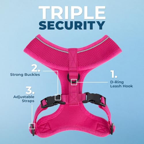 Best Pet Supplies Voyager Aerolite Over the Head Dog Harness, No Pull Breathable Air Mesh Vest, Quick Dry with Reflective Stitching, Adjustable Escape Resistant Harness - Fuchsia, Medium - color: Fuchsia, size: M