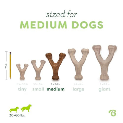 Benebone Wishbone Durable Dog Chew Toy for Aggressive Chewers, Real Bacon, Made in USA, Medium - size: Medium