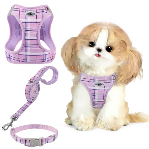 Gyuzh Dog Harness and Leash Set, 3-in-1 Step in No Pull Harness Vest Collar for Small Dogs & Cats, Lightweight Breathable Mesh Reflective Plaid with Padded Handle (Purple, XXS) - color: Purple, size: XXS