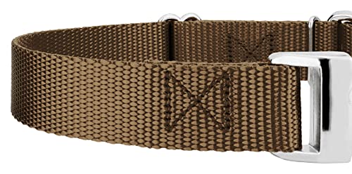 Country Brook Petz - Martingale Dog Collar - Heavy Duty Nylon Adjustable Martingale Dog Collar with Premium Buckle for Small Medium Large Breeds (5/8 Inch, Extra Small, Coyote Tan) - color: Coyote Tan, size: Extra Small (Pack of 1)