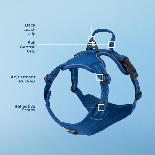 Voyager Dog Harness Dual Leash Attachment No-Pull Control Adjustable Soft but Strong Pet Harness for Medium and Large Dogs with 3M Reflective Technology, Royal Blue Lattice Nylon, XS (Chest: 13-16") - color: Royal Blue Lattice Nylon, size: XS (Chest: 13 -