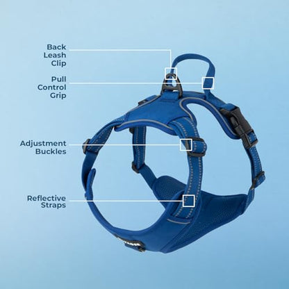 Voyager Dog Harness Dual Leash Attachment No-Pull Control Adjustable Soft but Strong Pet Harness for Medium and Large Dogs with 3M Reflective Technology, Royal Blue Lattice Nylon, XL (Chest: 28-37") - color: Royal Blue Lattice Nylon, size: XL (Chest: 28 -