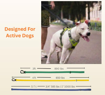 DogTraxs Essential Biothane Dog Leash, 3/4 in x 4 ft, Cerulean Blue | Waterproof, For Large, Medium, Small Dogs, Dog Training, Locking Carabiner - color: Cerulean Blue, size: 3/4 In x 4 Feet