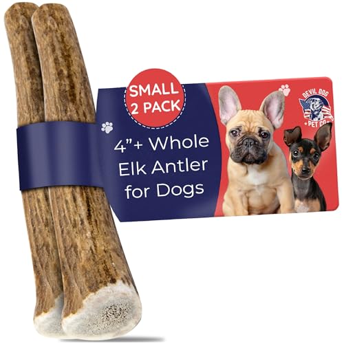 Devil Dog Pet Co. Elk Antlers for Dogs, Natural Dog Chew for Aggressive Chewers - Long Lasting and Odor Free - USA Sourced - Cleaner Teeth, Anxiety & Boredom Relief - Whole Small 4"+ 2 Pack - style: WHOLE - Small - 2 Pack