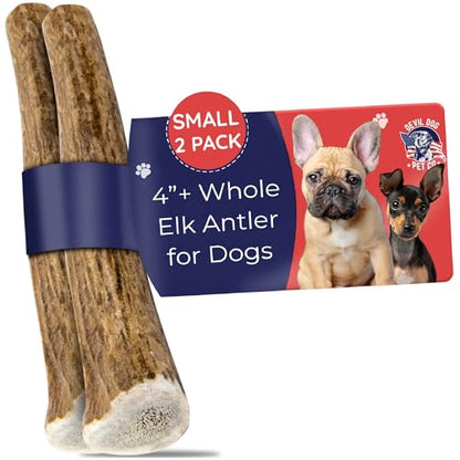 Devil Dog Pet Co. Elk Antlers for Dogs, Natural Dog Chew for Aggressive Chewers - Long Lasting and Odor Free - USA Sourced - Cleaner Teeth, Anxiety & Boredom Relief - Whole Small 4"+ 2 Pack - style: WHOLE - Small - 2 Pack