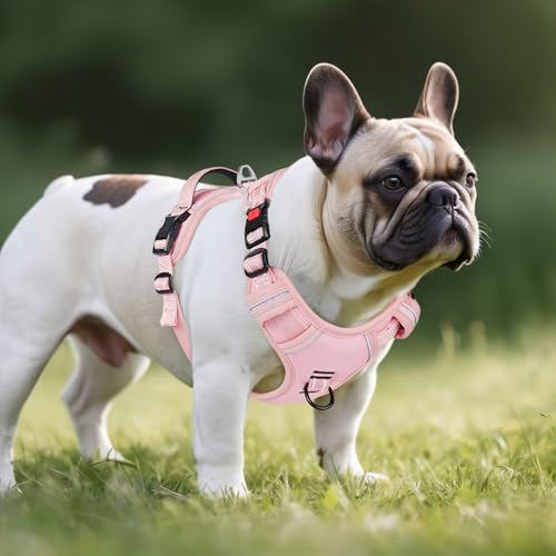 Timos Dog Harness Small Sized, No Pull Pet Harness with Neck Lockable Snap,No Choke Front Clip Dog Reflective Vest,Adjustable Metal Rings 3 Buckles,Easy Control Handle for Small Dogs Lock Pink S - color: Lock Pink, size: Small (Pack of 1)