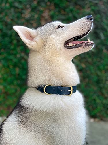 Tuff Pupper Classic Heavy Duty Dog Collar | 10x Stronger Than Leather | 100% Waterproof & Odor Proof Dog Collar | Tough Rust-Proof All Metal Hardware - color: Midnight Blue