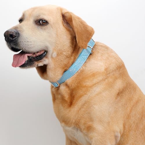 Glare Blue Personalized Dog Collars Leather and Nylon Thicken Design Engraved Heavy Duty Dog Collar with Name Plate Adjustable with Quick Release Metal Buckle for Small Medium Large Dogs,L - color: Blue - Personalized, size: L-(neck adjustable 15.7-27.2"