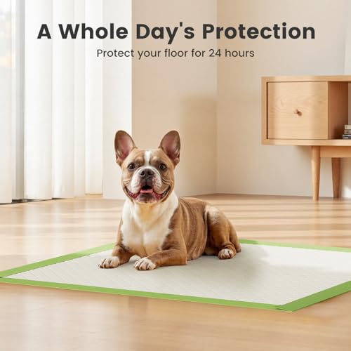 Gardner Pet Dog Pee Pads Rugular 21.7"x21.7", Thicker ECO Green Small Disposable Puppy Training Pads Super Absorbent Full Edge-Wrapping Pad for Dogs, Puppies, Doggies, Cats-(50 Count) - size: 21.7"x21.7"-50 Count
