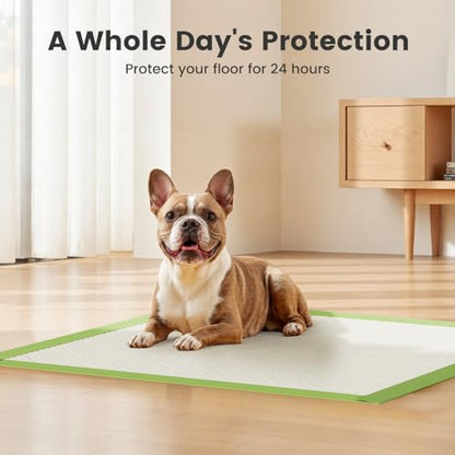 Gardner Pet Dog Pee Pads Rugular 22"x22", Thicker ECO Green Small Disposable Puppy Training Pads Super Absorbent Full Edge-Wrapping Pad for Dogs, Puppies, Doggies, Cats-(40 Count) - size: 22"x22"-40 Count