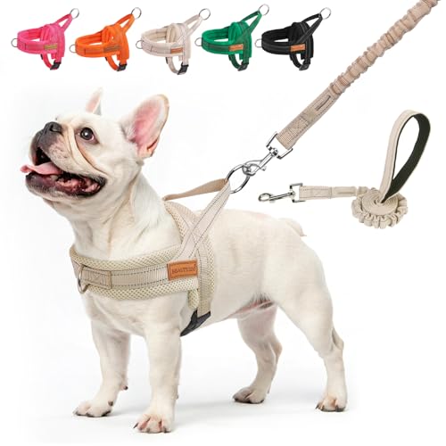 BEAUTYZOO Dog Harness No Pull, Quick Fit Dog Harness and Leash Set, Escape Proof Vest Harness with Soft Handle, Reflective Breathable Mesh Padding Harness for Medium Size Dog Training Walking, Beige M - color: Beige, size: M: Chest 21"-26.7"