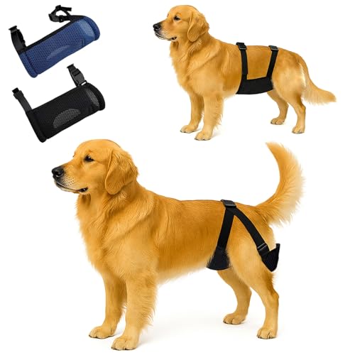 2 Pack Dog Nappies Female and Male with 30 Detachable Absorbent Pads, Reusable Belly Bands for Dogs, Breathable Mesh Dog Diapers Incontinence, Excitable Urination or Heat, (Blue&Black,M) - size: M