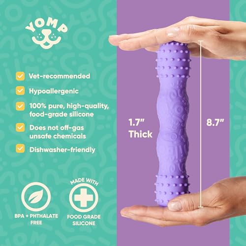 Yomp ToothBuddy Dog Dental Chew Toy – Teething and Chewing Toy for Puppies and Teething Dogs – Pet-Safe, Non-Toxic Silicone Dog Bone