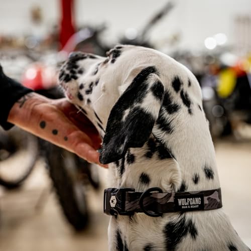 Wolfgang Heavy Duty, Adjustable Dog Collar with Quick Release Nylon Buckle for Walking & Training, DarkSkies Print, Small - color: DarkSkies Print, size: Small (5/8 Inch x 8-12 Inch)