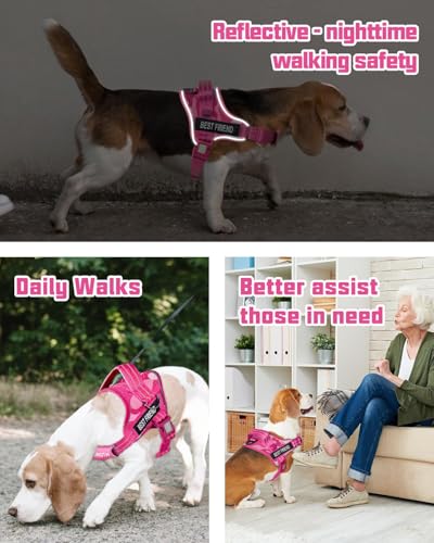 AUROTH Dog Harness and Leash Set, Soft Padded Service Dog Vest with 5.25FT Dog Leash, No Choke, Easy On Pet Vest, Adjustable Reflective No Pull Dog Harness Small Sized Dog, Easy Walking and Training - color: Pink Camo, size: Small