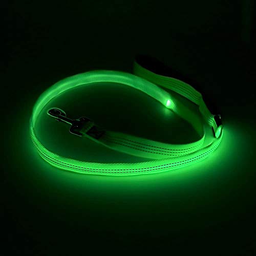 Candofly Glowing LED Dog Leash, Rechargeable Pet Leash with Lights, 4 Ft Light Up Dog Leash for Night Walking Keep Your Pets Visible (Neon Green) - color: Neon Green