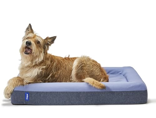 Casper Dog Bed, Plush Memory Foam, Medium, Blue - color: Blue, size: Medium