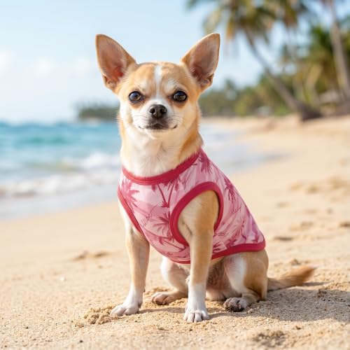 CuteBone Dog Shirts 2-Pack Soft Pet Clothes Breathable Summer Vest for Small Puppy and Stretchy Cat Apparel 2BX25S - color: Tropical Sweet, size: Small