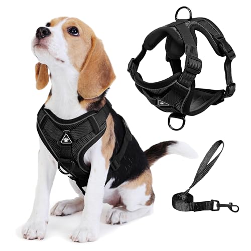 No Pull Dog Harness with Leash Set for Small Sized Dog, Reflective Adjustable No Choke Front Clip Cat Vest Harness with Breathable Mesh, Comfortable Soft Padded Pet Vest, Black S - color: Black, size: S (Neck 6.6-9.8'' Chest 7.4-11.4'')