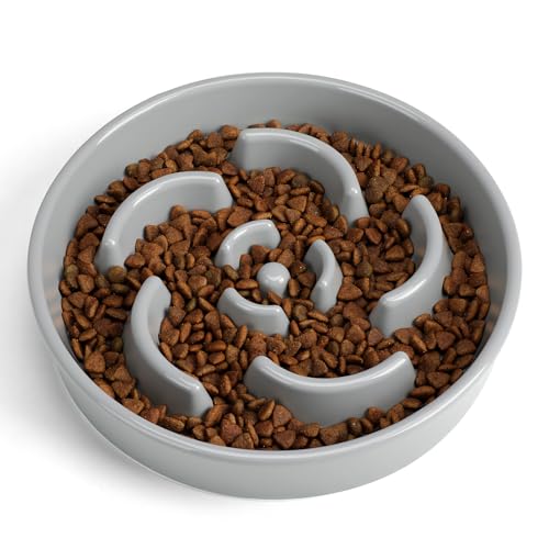 Slow Feeder Dog Bowl, Ceramic 2 Cups Dog Food Bowls for Small, Medium, and Large Breed, Anti-Slip Maze Puzzle Food Dish to Slow Down Eating (Grey, 2 Cups) - color: Flower - Grey