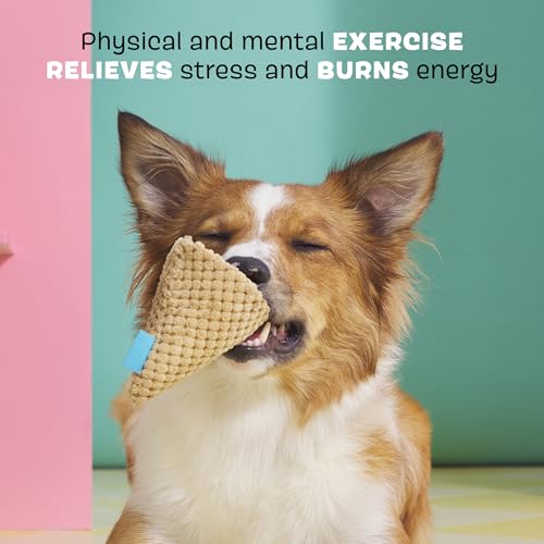 Barkbox Mint Chocolate Poop Scoop Dog Toy | 2-in-1 Plush Ice Cream Set with Squeaky Tennis Ball & Squeaker Cone | for Small Dogs - color: Poop Scoop