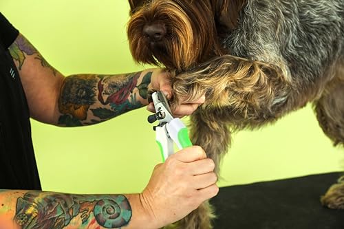 Andis 68575 Animal Nail Cutter for Small Breeds - Stainless Steel Blades with Sharp Efficiency - Designed for Repeated Use & Recommended by Pet Trainers – Medium Size & White/Green (Pack of 12) - size: Pack of 12, style: New Version