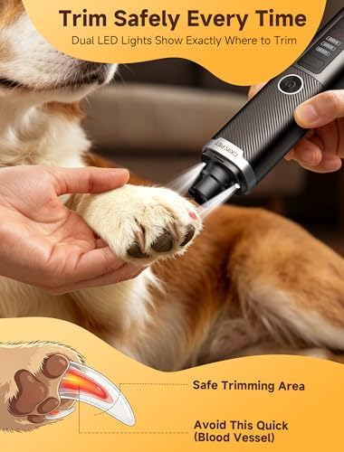 Dog Nail Grinder, Quiet Electric Dog Nail Trimmer with 2 LED Lights, 3-Speed Pet Nail Grinder for Dogs & Cats, Rechargeable 2000mAh Nail Grinder for Small Medium Large Dogs with Light, Black - color: Black