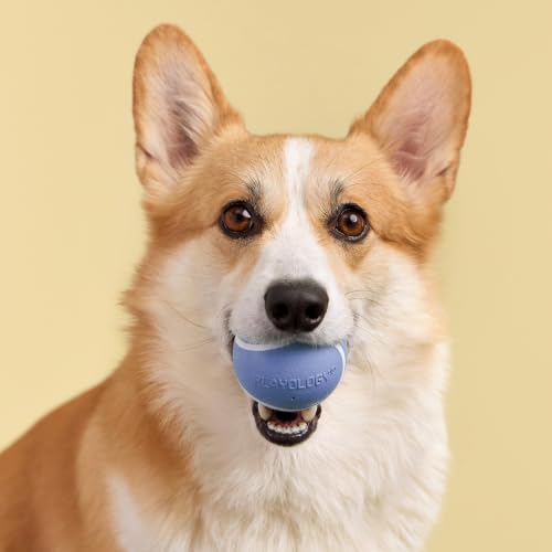 Playology Dog Toys | Squeaky Chew Ball for Dogs | Blueberry Scented Medium Dog Ball | Bouncy Floating Chew Toys for Fetch - size: Medium, style: Blueberry