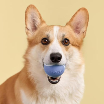 Playology Dog Toys | Squeaky Chew Ball for Dogs | Blueberry Scented Medium Dog Ball | Bouncy Floating Chew Toys for Fetch - size: Medium, style: Blueberry