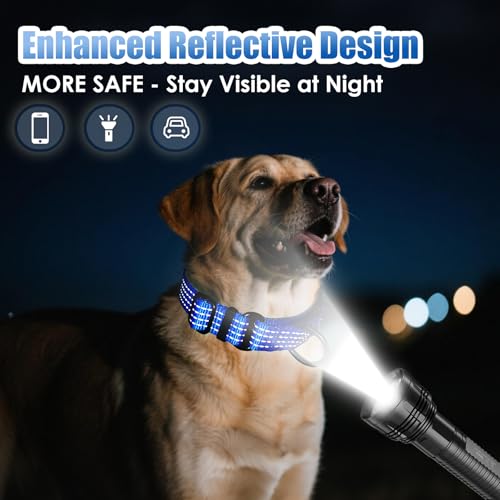Martingale Dog Collar, Reflective No Pull Training Collar with Quick Release Buckle, Adjustable Heavy Duty Nylon Choker Collars for S M L Dogs (Blue, L (1" x 19"-26")) - color: Blue, size: L (1" x 19"-26")