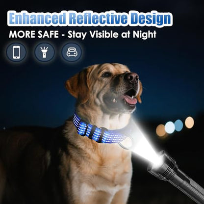 Martingale Dog Collar, Reflective No Pull Training Collar with Quick Release Buckle, Adjustable Heavy Duty Nylon Choker Collars for S M L Dogs (Blue, L (1" x 19"-26")) - color: Blue, size: L (1" x 19"-26")
