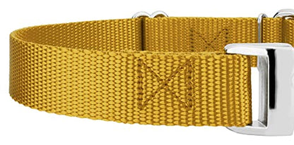Country Brook Petz - Martingale Dog Collar - Heavy Duty Nylon Adjustable Martingale Dog Collar with Premium Buckle for Small Medium Large Breeds (5/8 Inch, Extra Small, Gold) - color: Gold, size: Extra Small (Pack of 1)