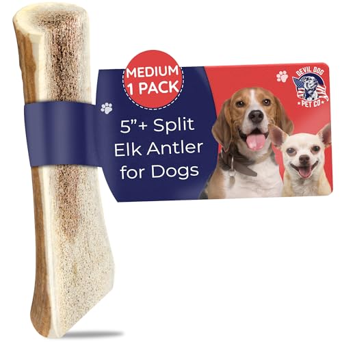 Devil Dog Pet Co. Split Elk Antlers for Dogs, Natural Dog Chew with Exposed Marrow - Long Lasting and Odor Free - USA Sourced - Cleaner Teeth, Anxiety & Boredom Relief - Medium 5"+ - Antler Bone - style: split - Medium - 1 Pack