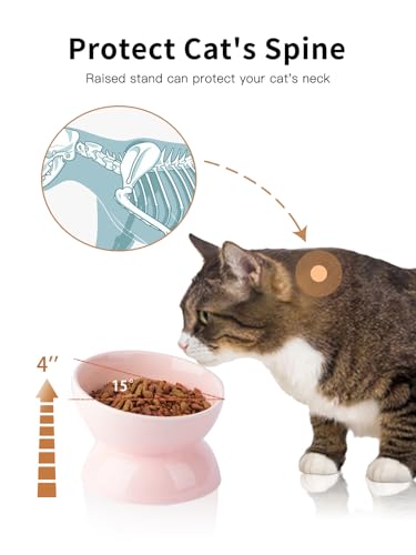 ABRUTY Cat Water Bowl, 16 OZ Ceramic Elevated Cat Bowls, 15° Tilted and Raised Pet Food Dish, Anti Vomiting Protect Pets' Spines and Whisker Fatigue - color: Pink, size: 2 Pack
