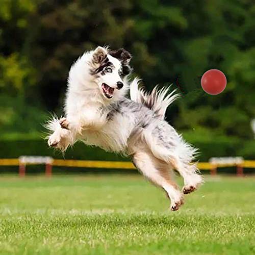 Sunglow Durable Dog Ball for Chewing & Training, Tough Indestructible Dog Chew Toy, Solid Rubber Bouncy Ball, Cleans Your Dog's Teeth & Improves Mental Health