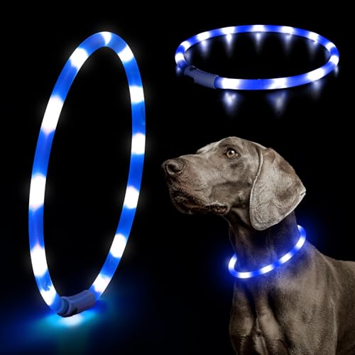 HIGO Light Up Dog Collar, Lightweight LED Dog Collar for Dogs Cats, USB Rechargeable LED Dog Necklace Light Makes Your Beloved Dogs Glow in the Dark (Blue-Silicone) - color: Blue-Silicone
