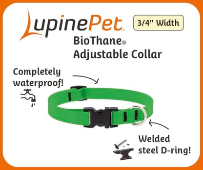 LupinePet Waterproof Splash Dog Collar, Jet Black, 3/4-inch Wide, adjusts 13-22", Made with BioThane - color: Jet Black, size: Medium: Adjusts from 13 to 22 in, 3/4-in wide