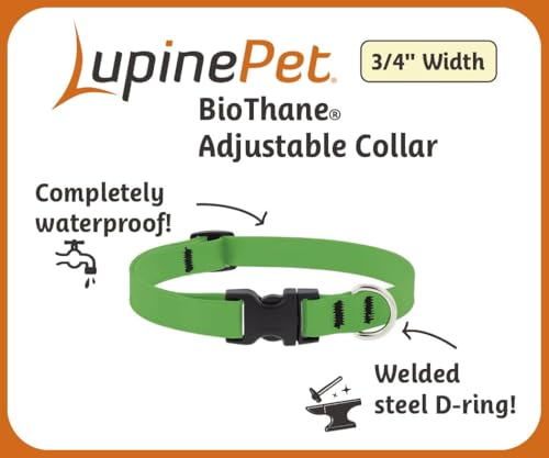 LupinePet Waterproof Splash Dog Collar, Brick Red, 3/4-inch Wide, adjusts 15-25", Made with BioThane - color: Brick Red, size: Large: Adjusts from 15 to 25 in, 3/4-in wide