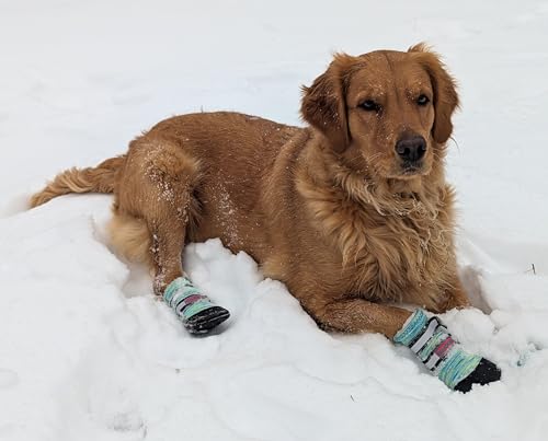 All Weather Neoprene Paw Protector Dog Boots with Reflective Straps in 5 Sizes! (Turquoise Medium) - size: Medium