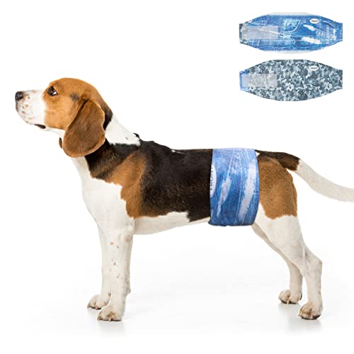 Dono Dog Diapers Male Disposable Male Dog Wraps, Wider Doggie Puppy Diapers Male Belly Bands, Super Absorbent, Leak-Proof Fit, Excitable Urination, Incontinence, Small 48ct - size: Small (12-19inch)