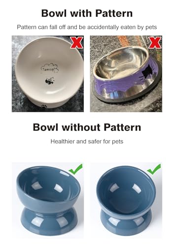 ABRUTY Cat Water Bowl, 16 OZ Ceramic Elevated Cat Bowls, 15° Tilted and Raised Pet Food Dish, Anti Vomiting Protect Pets' Spines and Whisker Fatigue, Set of 2, Blue - color: Blue, size: 2 Pack