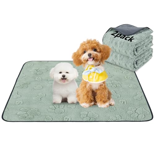 LOOBANI Washable Pee Pads for Dogs: 2 Pack Super Absorbent Reusable Puppy Pads, Leakproof and Waterproof Dog Training Pads Whelping Pads for Potty, Floor, Crate, Couch Bed and Travel, 36"x41" - color: Green Dog Element, size: 36"x41"(Pack of 2)
