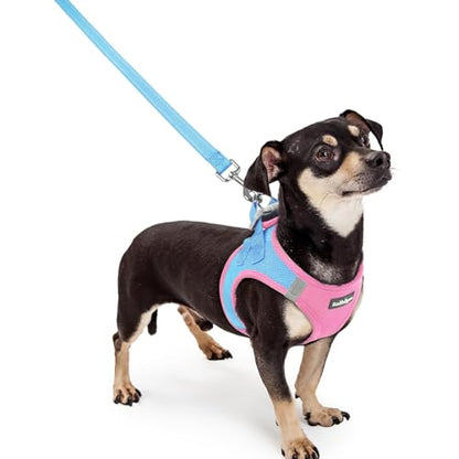 rabbitgoo Dog Harness Small Sized and Leash Set, Step in Soft Light Puppy Vest, Breathable Mesh Pet Harness, Reflective for Safe Easy Walking, Blue & Light Pink XXXS - color: Blue & Light Pink, size: Xxxs (chest: 10.8 - 11.8")