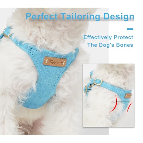 Puppytie Small Dog Harness with Multifunction Dog Leash,Lightweight Soft Adjustable No Choke Escape Proof Pet Harness Vest Pet Harness Vest,Ocean Blue,S - color: Ocean Blue, size: S(9-17.5lb）