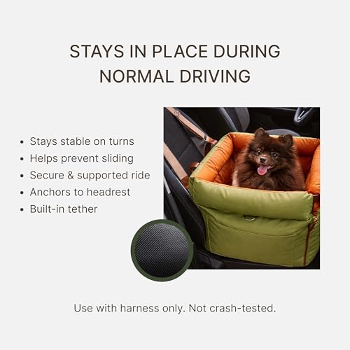Dog Booster Car Seat for Small Dogs, Stable Non-Slip Design Up to 35 lbs, Water-Resistant PU Travel Carrier with Headrest Straps, Built-in Tether & Storage — Orange/Green