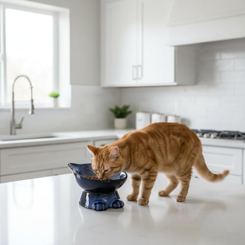 Nihow Slanted Elevated Cat Bowls: 5 Inch Ceramic Raised Cat Food Bowl for Protecting Pet's Spine - Microwave & Dishwasher Safe -Elegant Blue & Black (4.5 OZ /1 PC) - color: Blue & Black, size: 4.5 OZ