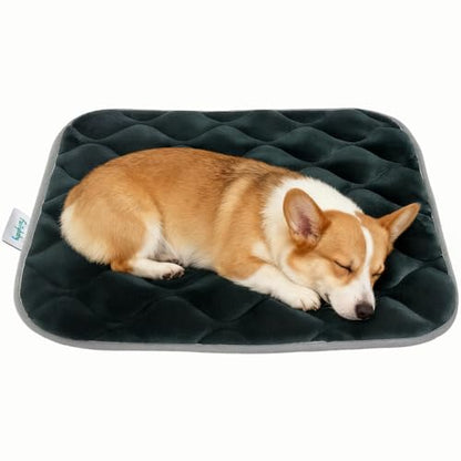 furrybaby Dog Crate Pad for Dog Cages Flat Crate Mat Kennel Pad with Anti-Slip Bottom Machine Washable for Pet Bed Sleeping (S 24x18'', Grey Mat) - size: 24.0"L x 18.0"W x 0.7"Th"