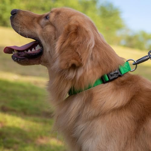 Hyhug Small Dog Collar Quick-Release Green| Heavy-Duty Nylon Puppy Collar, Adjustable & Durable Pet Supplies for Boy & Girl Dogs (Small, Lime Green) - color: Lime Green, size: Small