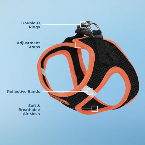 Best Pet Supplies - All Weather Mesh, Reflective, No Pull Harness for Small, Medium Dogs, Cats - Secure with Hook & Loop Fastener, Buckle, Double D-Rings - Orange Trim, XS