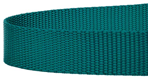 Country Brook Petz - Vibrant 17 Color Selection - Heavyduty Doublehandle Nylon Leash (6 Foot, 3/4 Inch Wide, Teal) - color: Teal